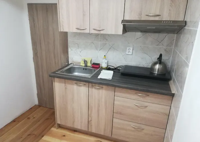 Horska Plzenka Dağ evi *